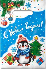 Пакет НГ 20*30 