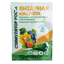 Янтарная кислота  4гр (508470)